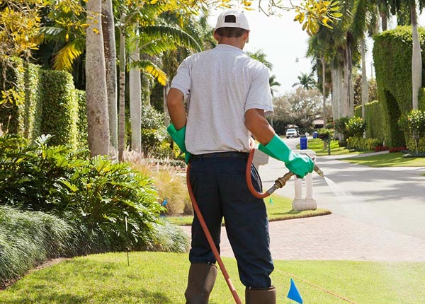 About Franksville WI Pest Control Pros